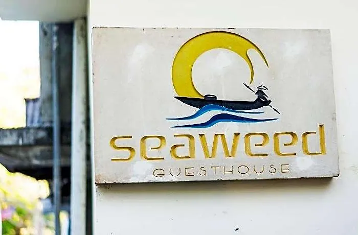 Seaweed Nusa Lembongan