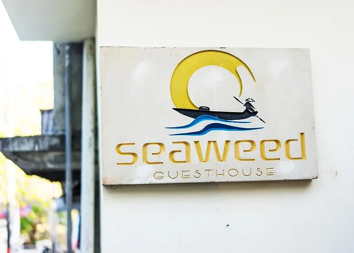 Seaweed Maison d'hôtes 3*